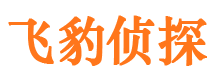 龙山外遇调查取证